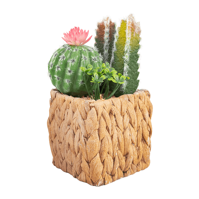 Cactus artificial en maceta de cemento de 7,2 pulgadas