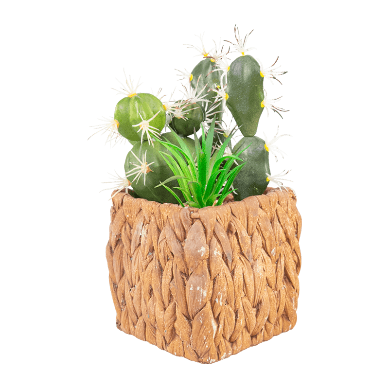 Cactus artificial en maceta de cemento de 7,2 pulgadas