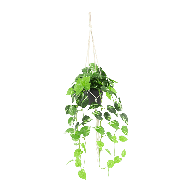 Planta colgante artificial en maceta de PP
