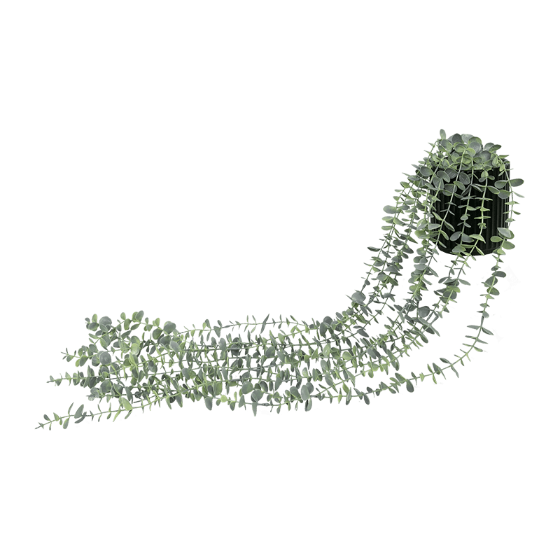 Planta artificial de eucalipto colgante