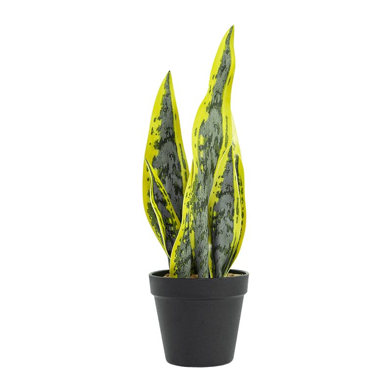 Aloe de serpiente artificial en maceta de PP de 15,8