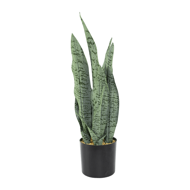Hojas de aloe artificial de serpiente de 5 pulgadas en maceta de PP de 20,8 pulgadas