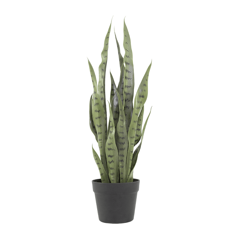 Aloe de serpiente artificial en maceta de PP de 15,8