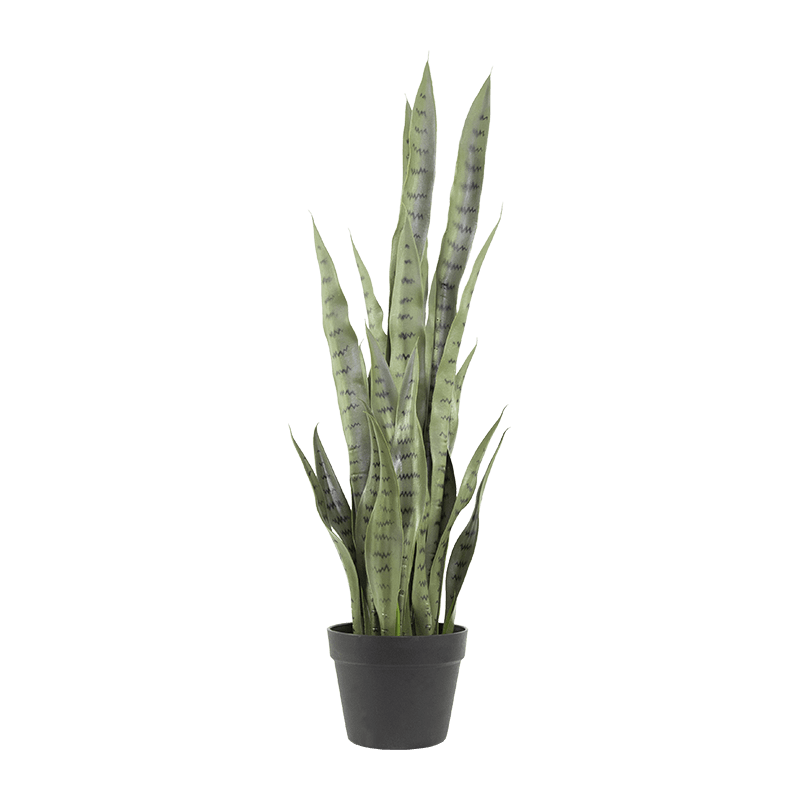 Aloe de serpiente artificial en maceta de PP de 15,8