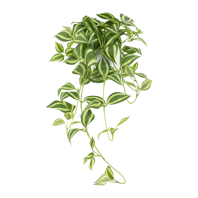 Planta artificial de hojas para cejas en maceta de cerámica de 60 cm
