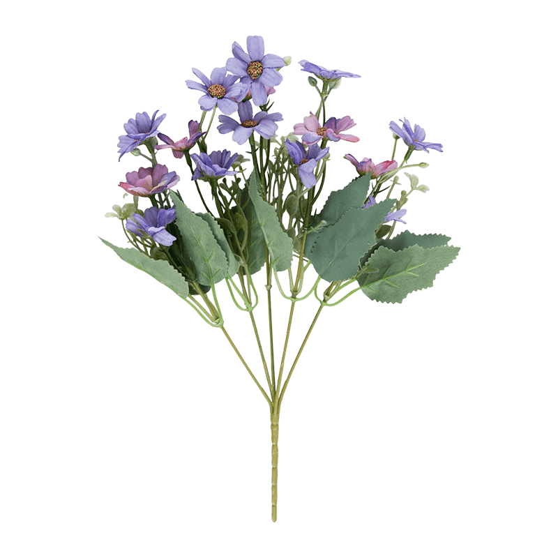 Paquete de seda salvaje Daisy Bush