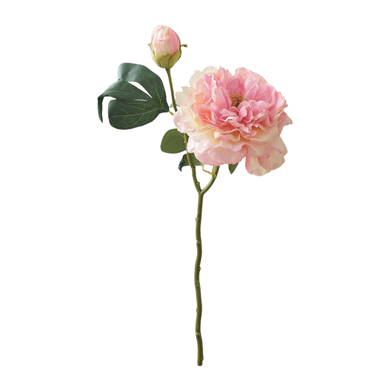 Flor de peonía Burnt Edge 2 cabezas 48cm