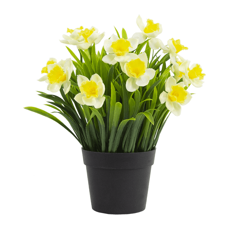 Narciso artificial en maceta de PP de 10,6