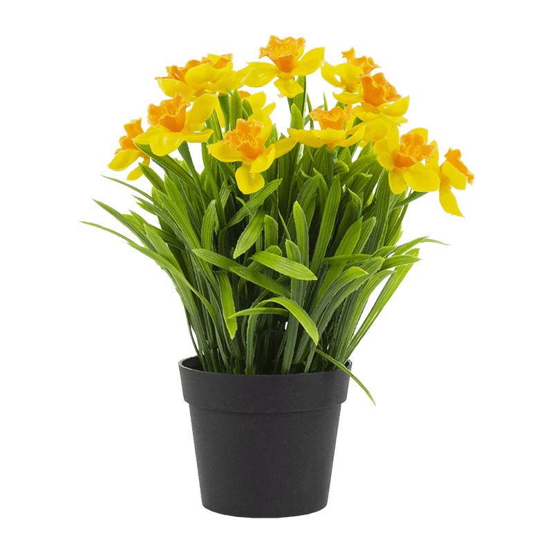 Narciso artificial en maceta de PP de 10,6