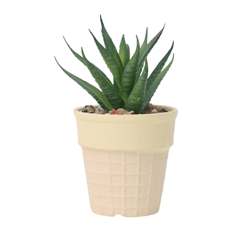 Suculenta artificial en olla para helado