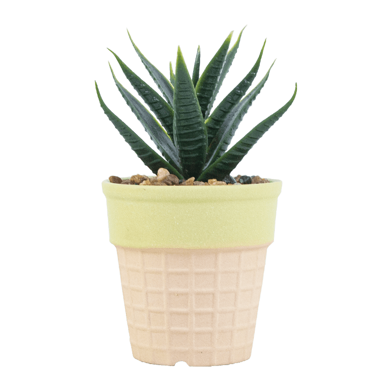 Suculenta artificial en olla para helado