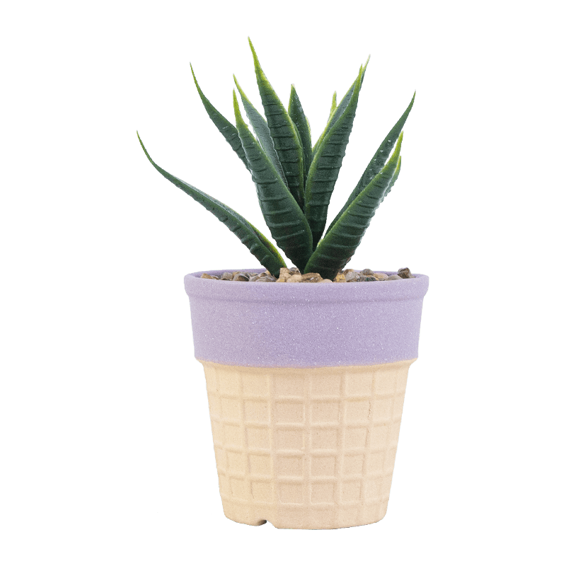 Suculenta artificial en olla para helado