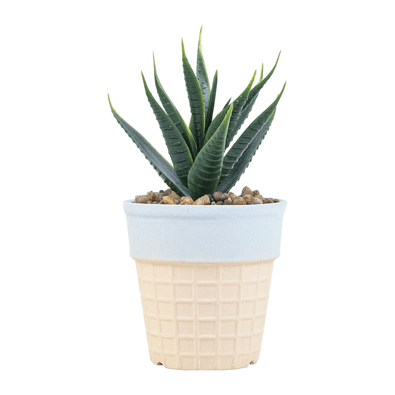 Suculenta artificial en olla para helado