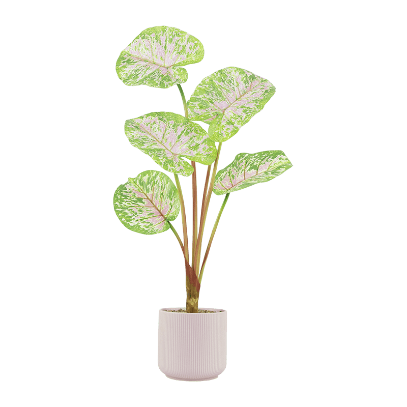 Planta artificial de taro rosa de 6 hojas en maceta de cerámica