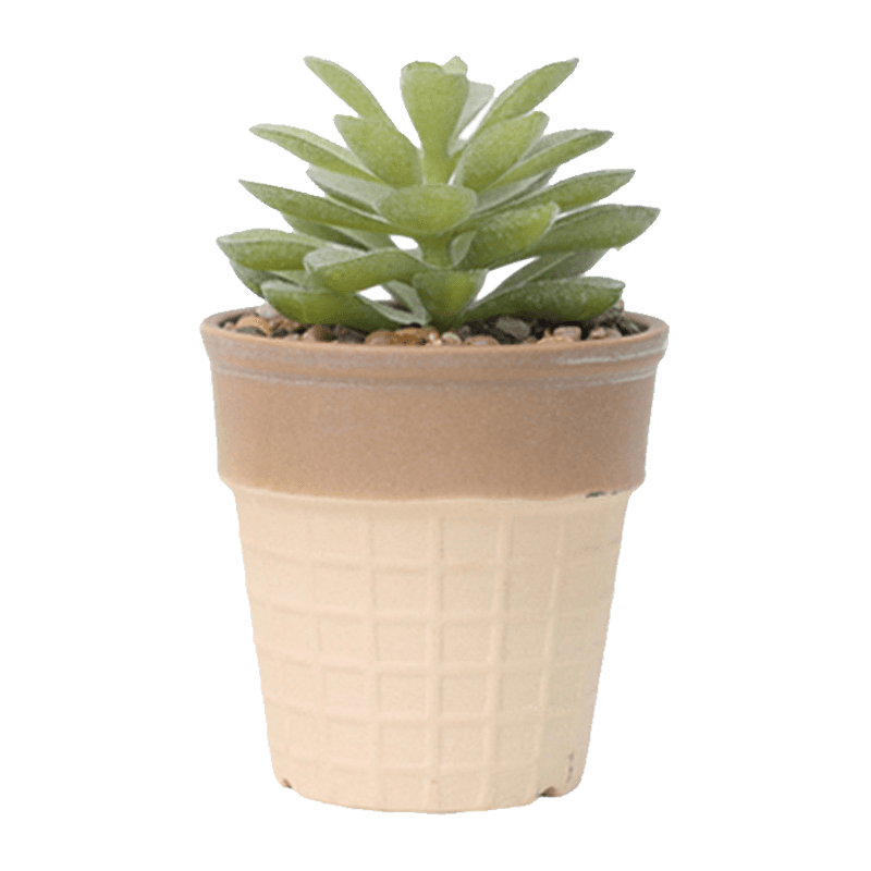 Suculenta artificial en olla para helado