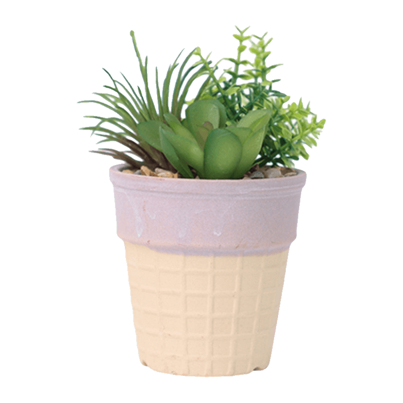 Suculenta artificial en olla para helado