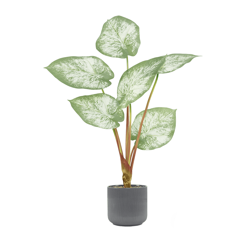 Planta artificial de taro rosa de 6 hojas en maceta de cerámica