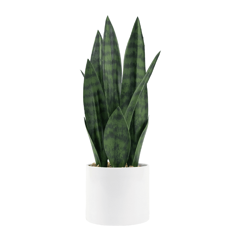 Planta artificial de aloe de serpiente 12 hojas