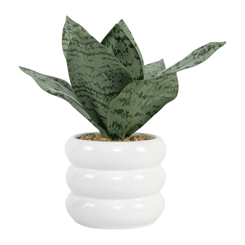 Planta Artificial Serpiente Maceta Cerámica Blanca 23cm