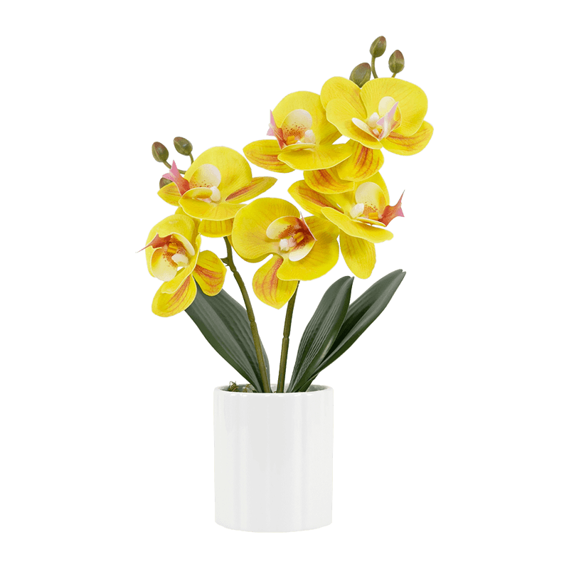 Olla de cerámica blanca con orquídeas artificiales en 3D