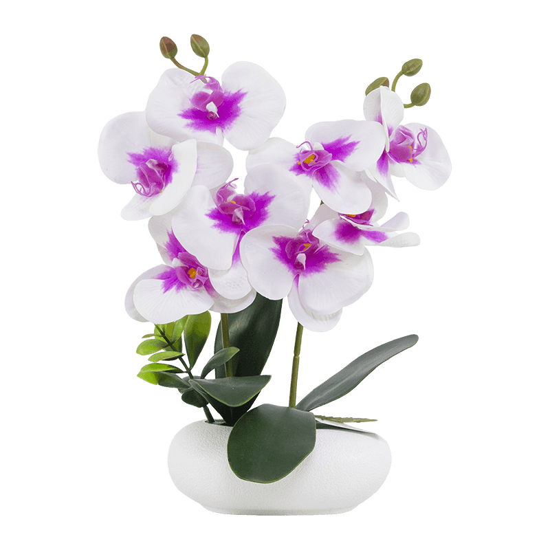 Maceta de orquídea artificial PP de 13 pulgadas y 8 flores